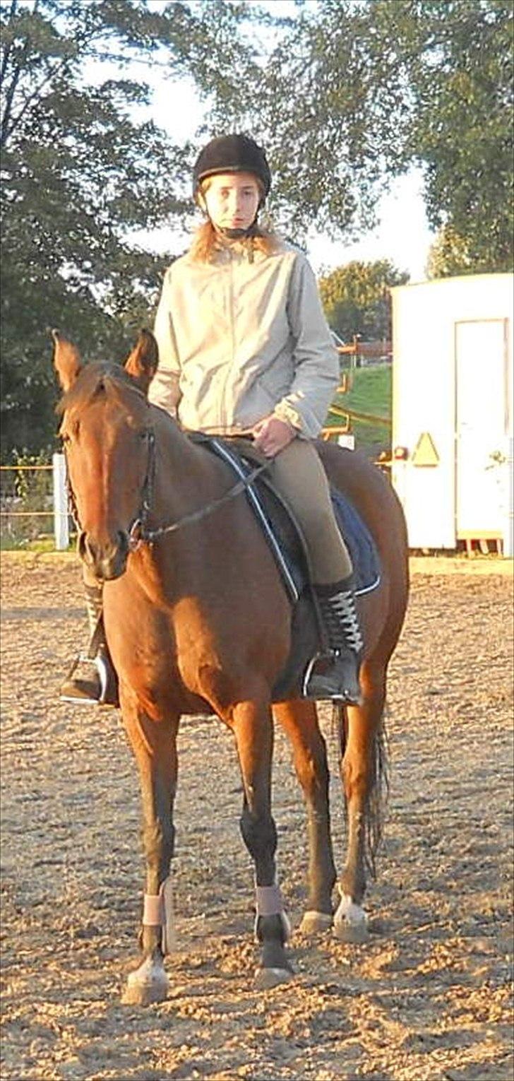 Traver Cindy Vestermarken (Aflivet) (Prinsessen<3) R.I.P - Mig og Cindy til Undervisning :)

Foto: Cathrine! billede 3