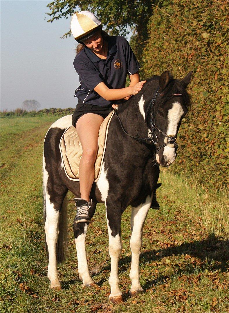 Lewitzer Gaspaspon II - Første ridetur efter hans skade - 166 dage uden ridning er hårdt, men nu er vi klar igen!! <3 billede 5