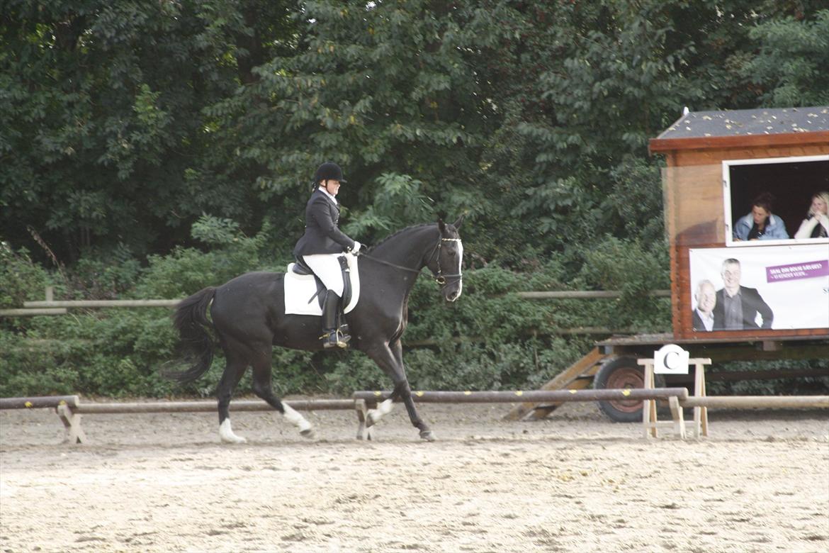 Dansk Varmblod Martinique - stævne d. 24/9-2011
Foto: lcs-foto.dk billede 11