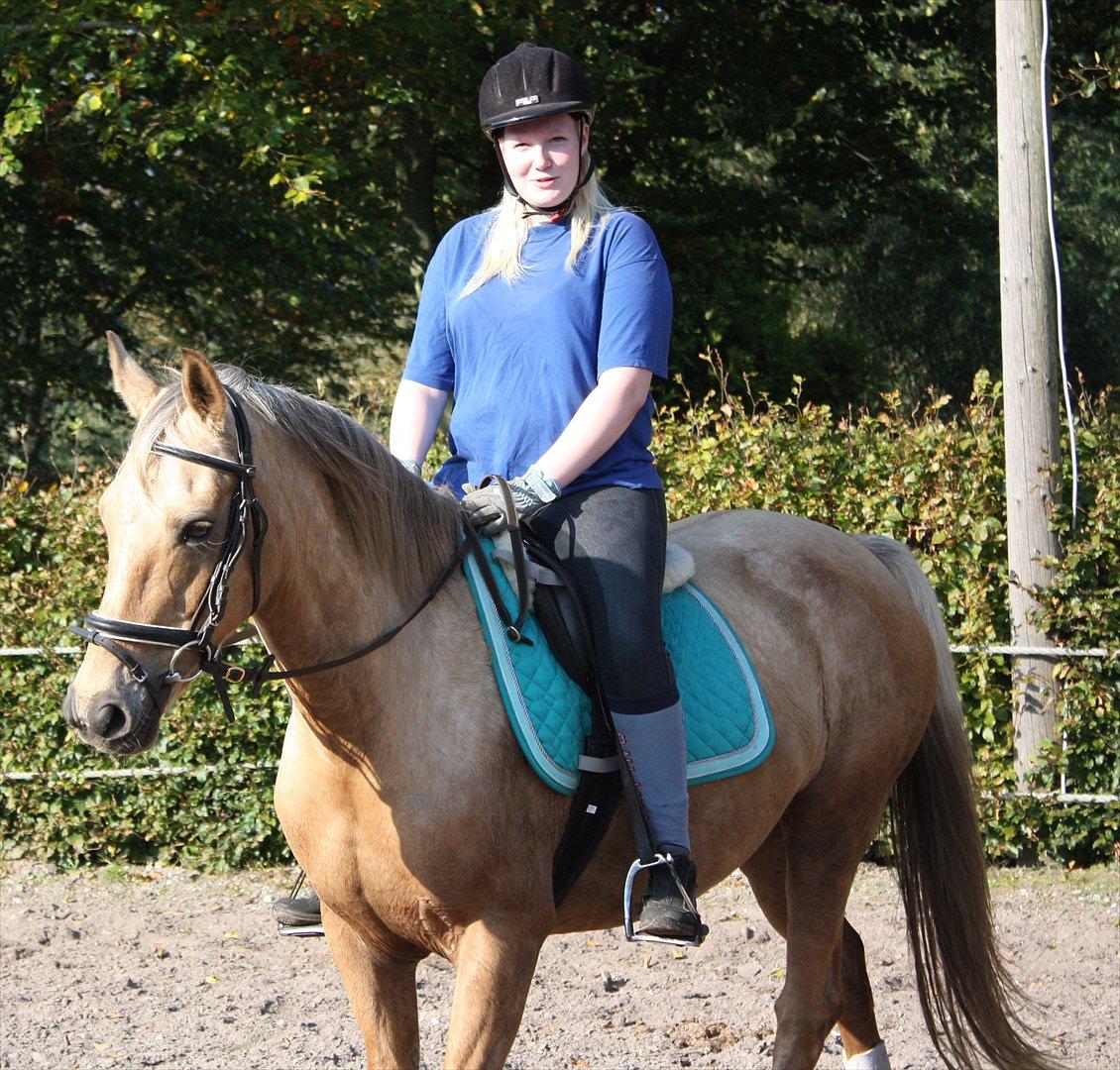 Palomino Surprise (har lånt) billede 16