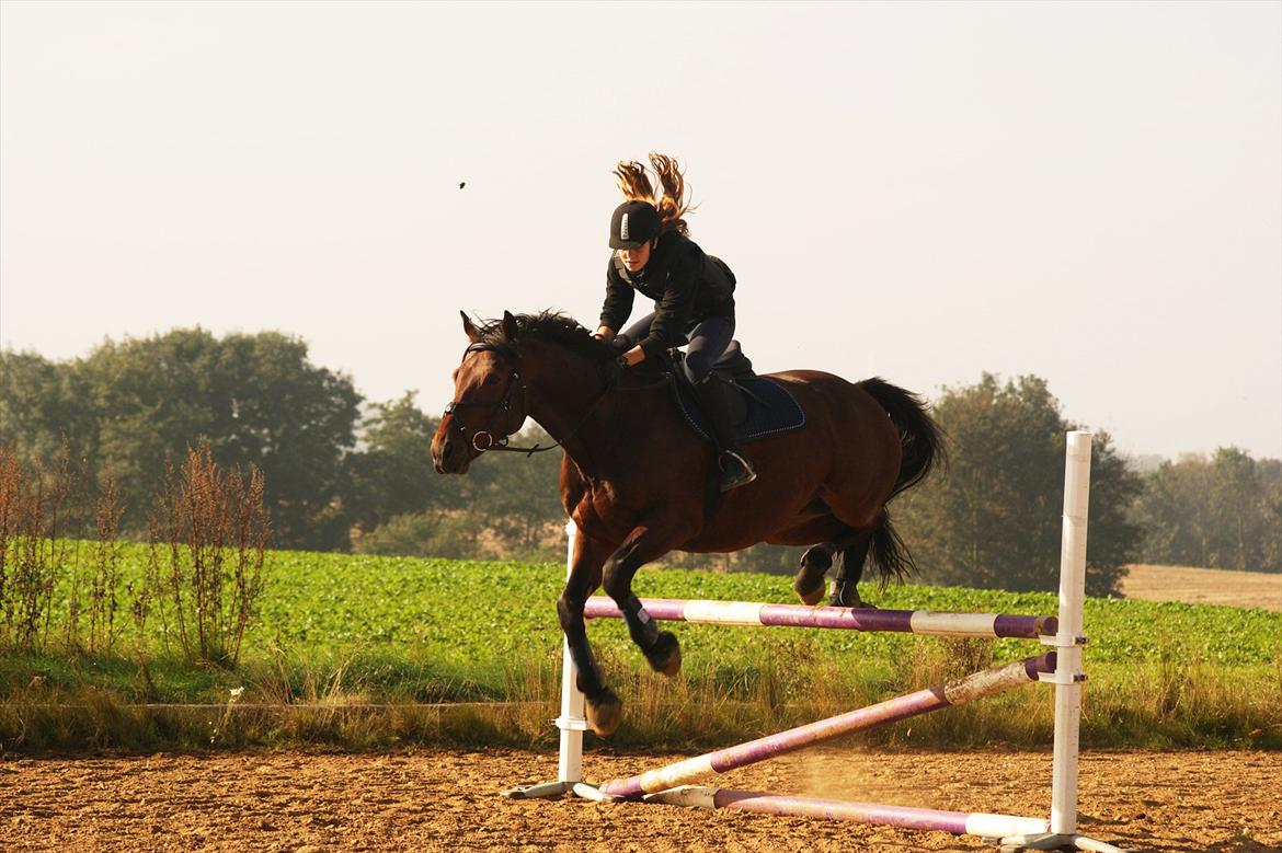 Oldenborg Aron - DRØMMEHESTEN! :* - Aron og jeg. Synes han ser lidt sød ud, og numsen kom liiiige med over springet ;-) Foto: Amanda Piil <3 billede 3
