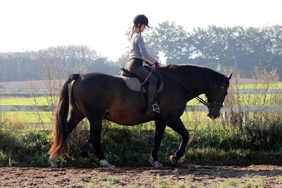 Oldenborg LARSEN - 01/10 - 2011: Foto - Christoffer billede 6