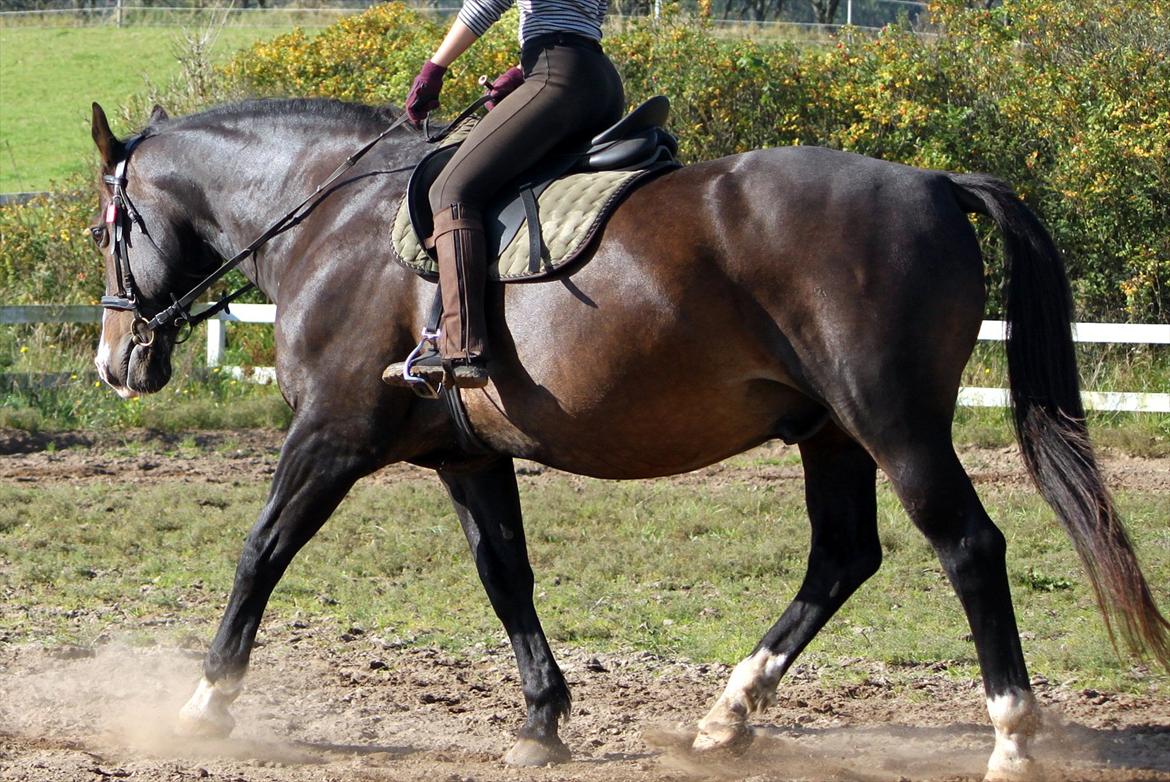 Oldenborg LARSEN - 01/10 - 2011: Foto - Christoffer billede 7