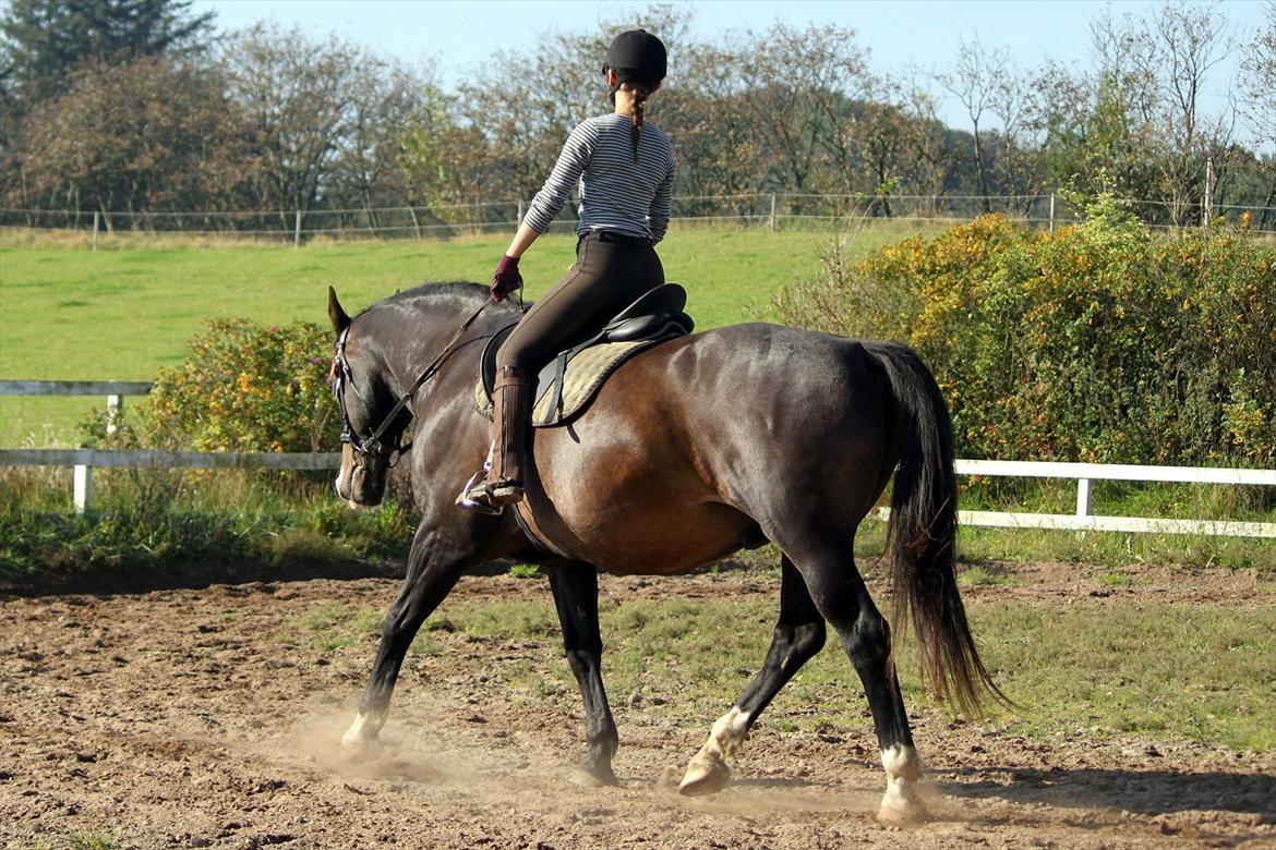 Oldenborg LARSEN - 01/10 - 2011: Foto - Christoffer billede 8