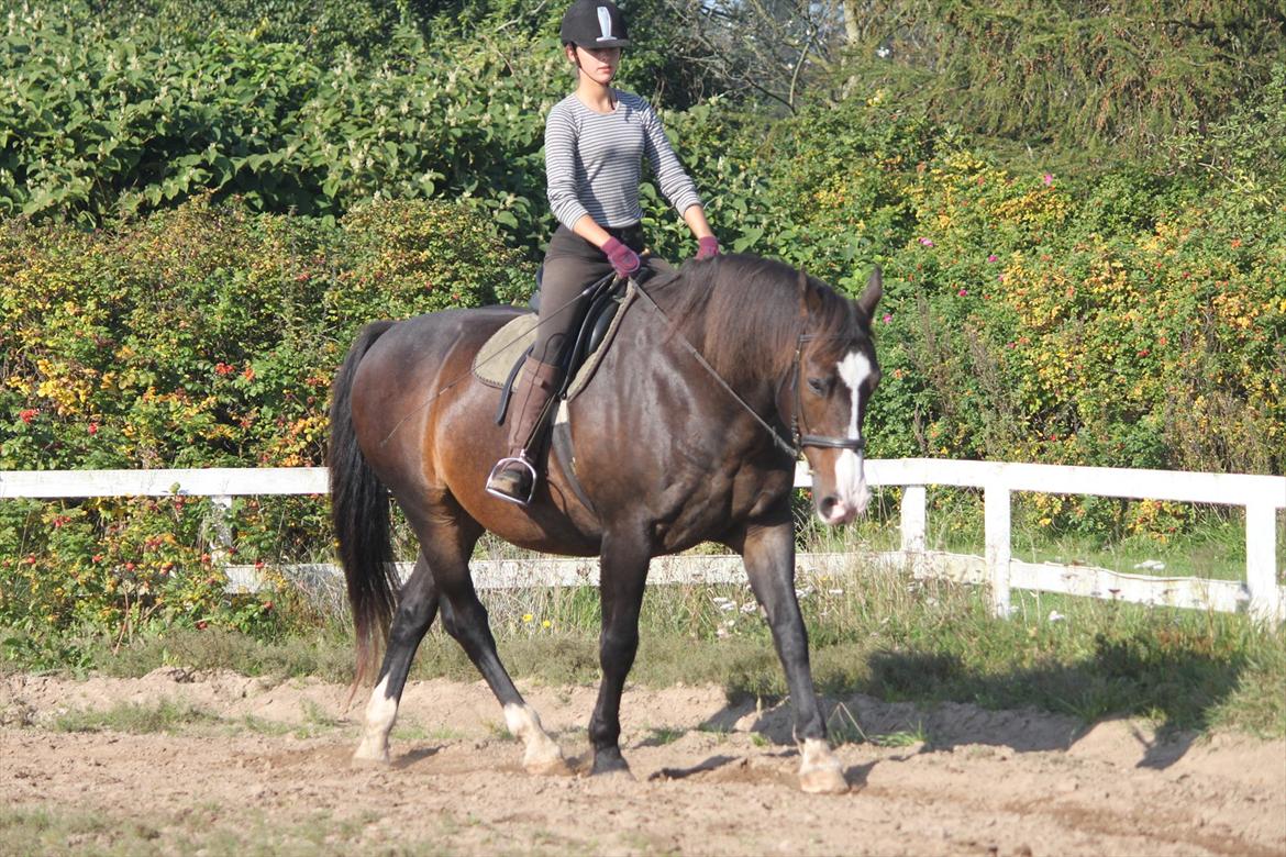 Oldenborg LARSEN - 01/10 - 2011: Foto - Christoffer billede 9