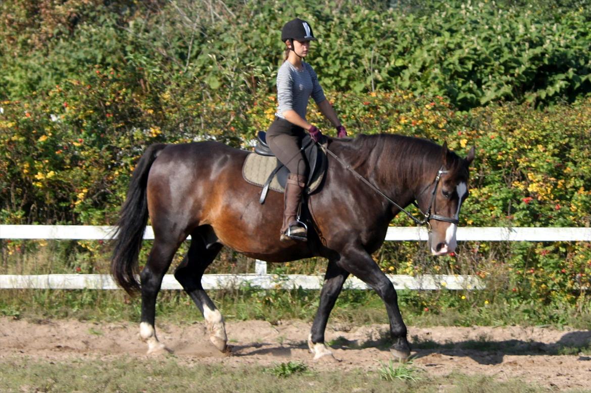 Oldenborg LARSEN - 01/10 - 2011: Foto - Christoffer billede 10