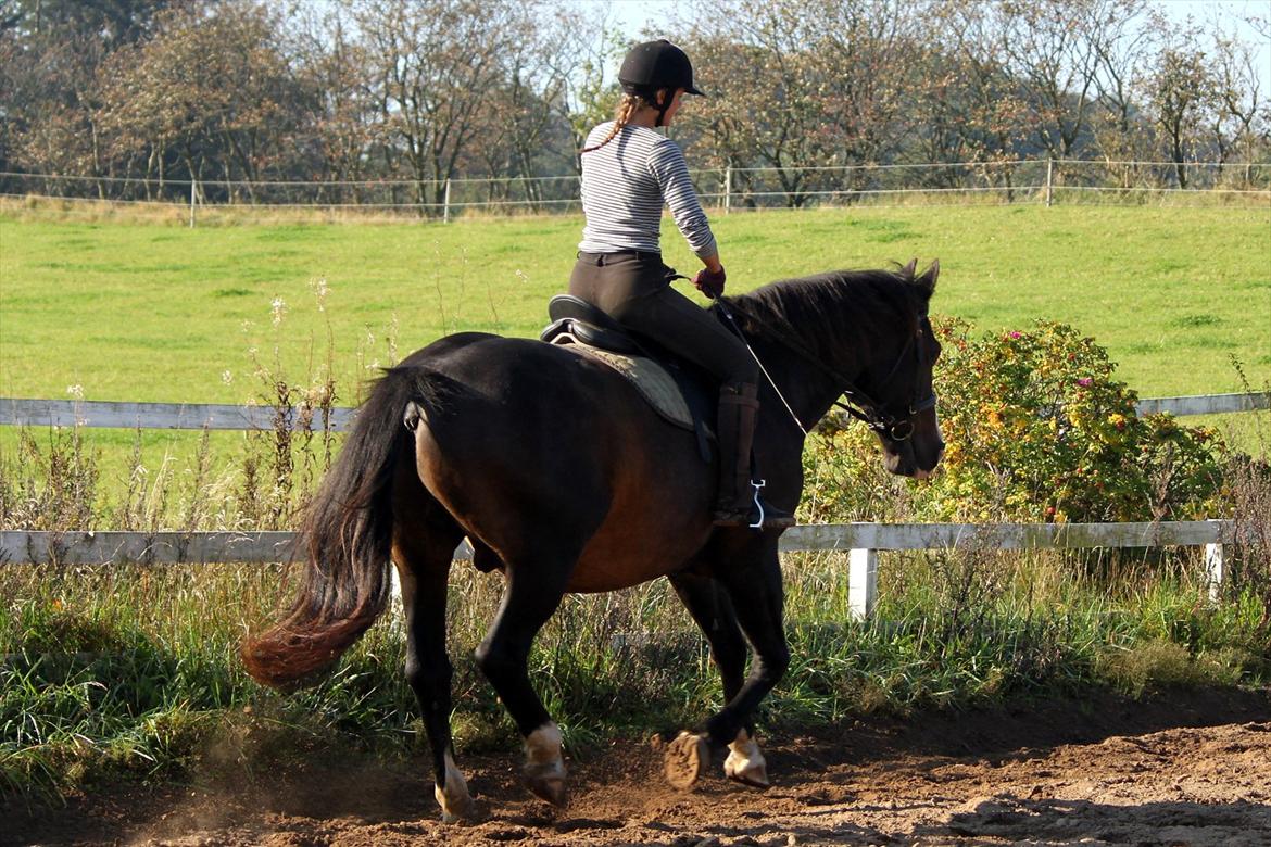 Oldenborg LARSEN - 01/10 - 2011: Foto - Christoffer billede 12