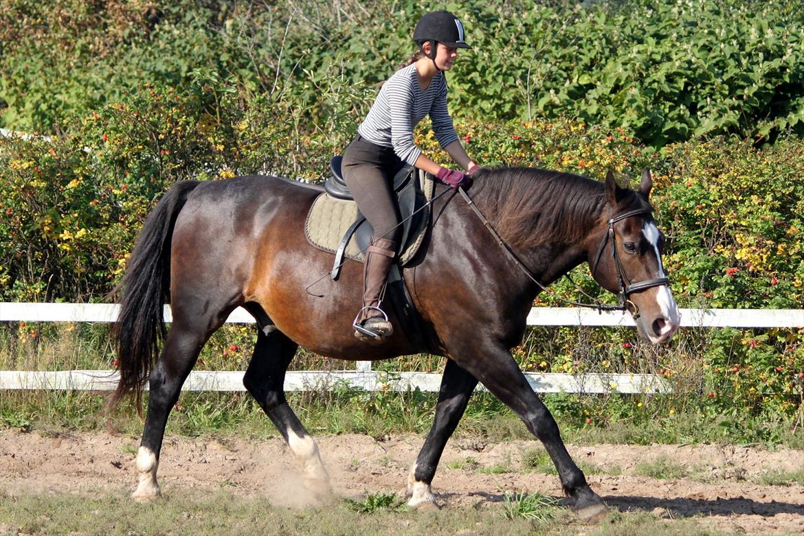 Oldenborg LARSEN - 01/10 - 2011: Foto - Christoffer billede 13