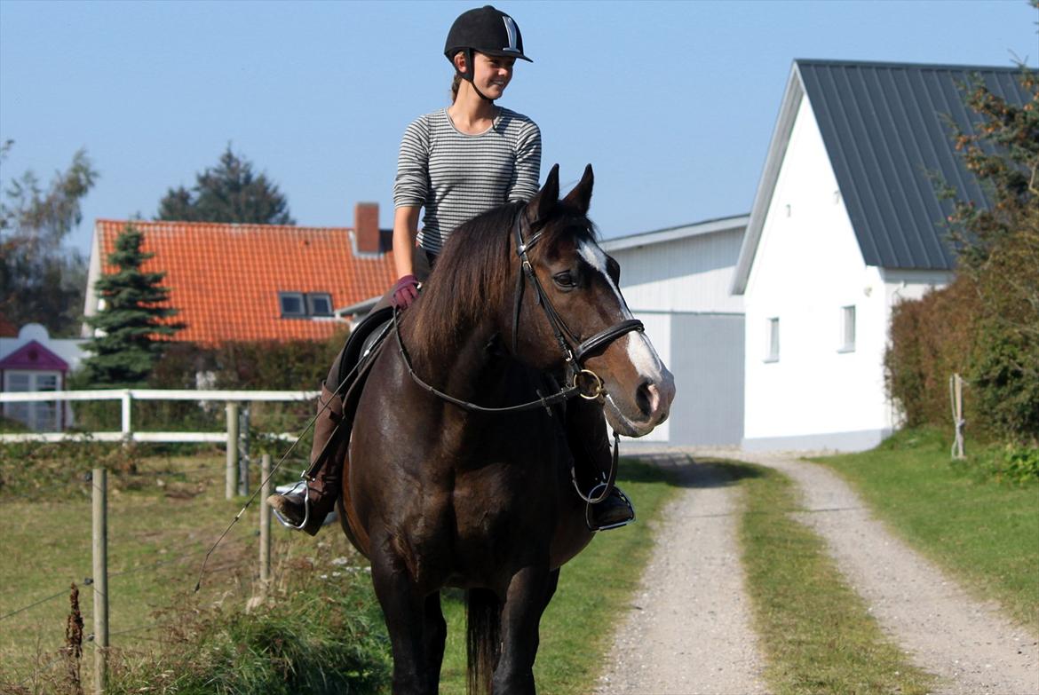Oldenborg LARSEN - 01/10 - 2011: Foto - Christoffer billede 14