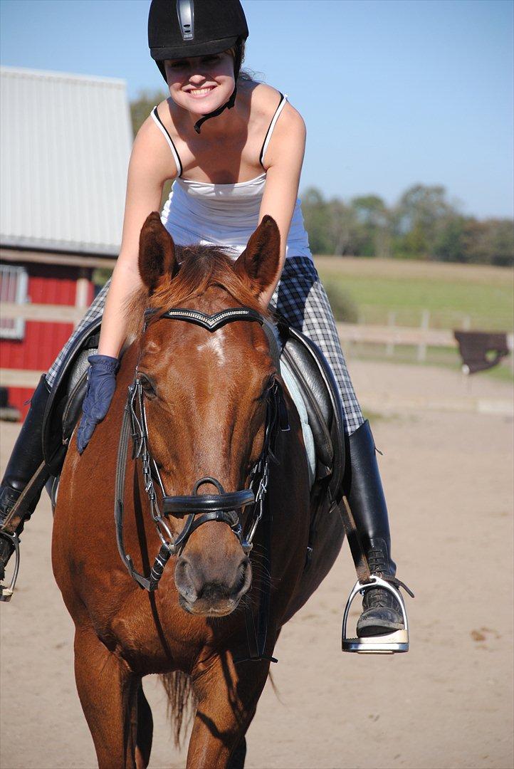 Anden særlig race Fabian  - Lidt spas fra træningen d. 30 september :) - foto: Louise billede 15