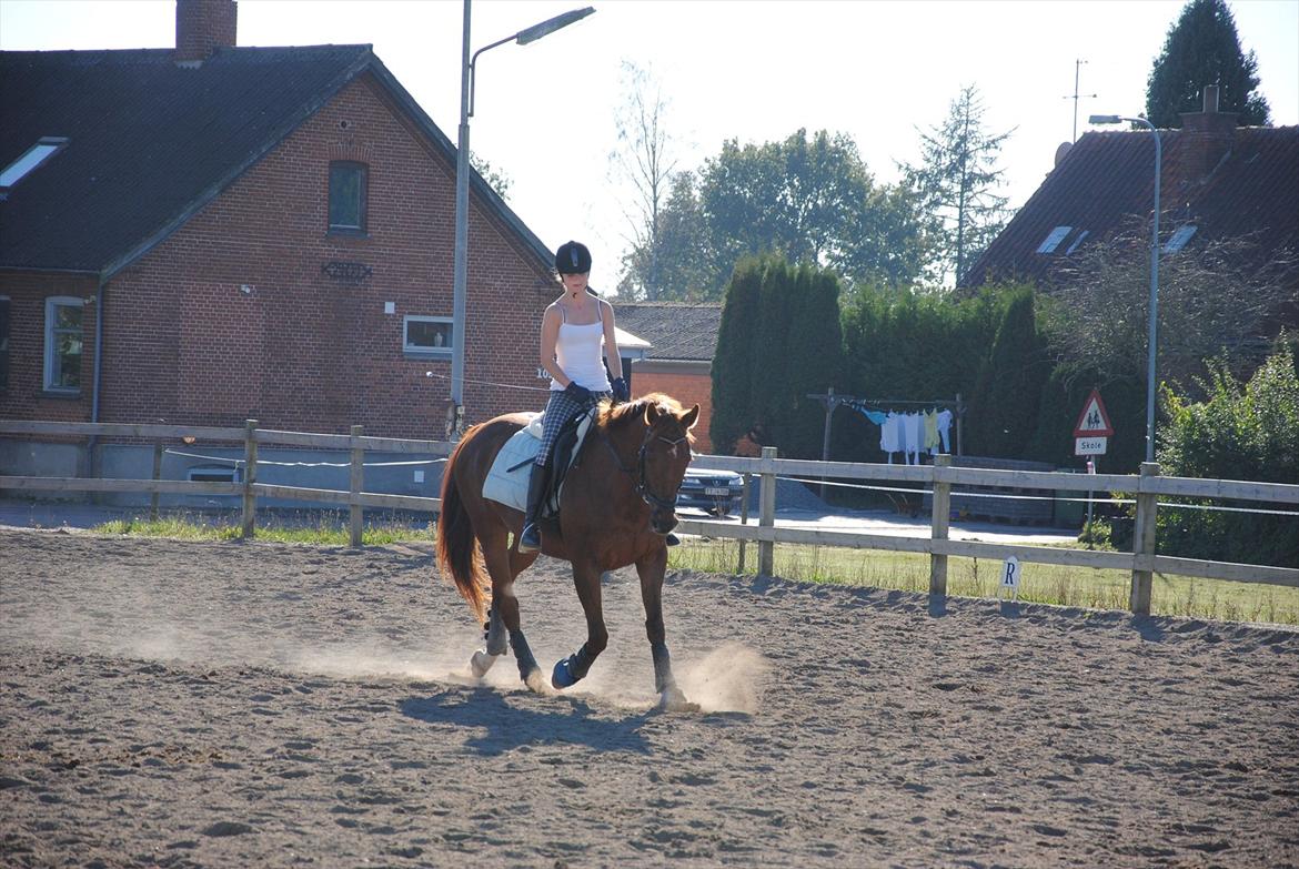 Anden særlig race Fabian  - Træningen d. 30 september :) - foto: Amanda billede 16