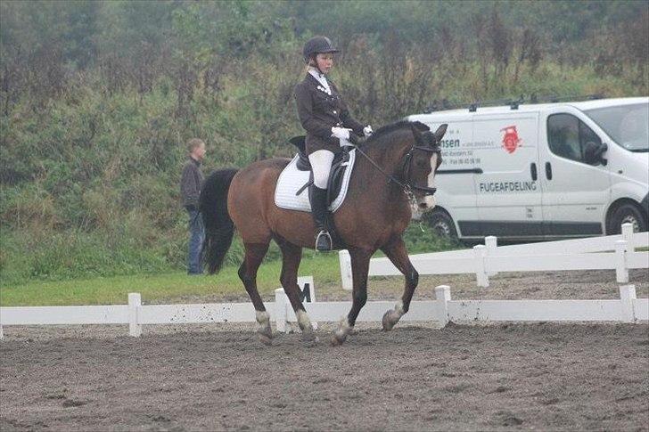 DSP Bæklunds Laredo (søsters) - Meget samlet gallop i lykkeshøj
MSP-foto billede 16