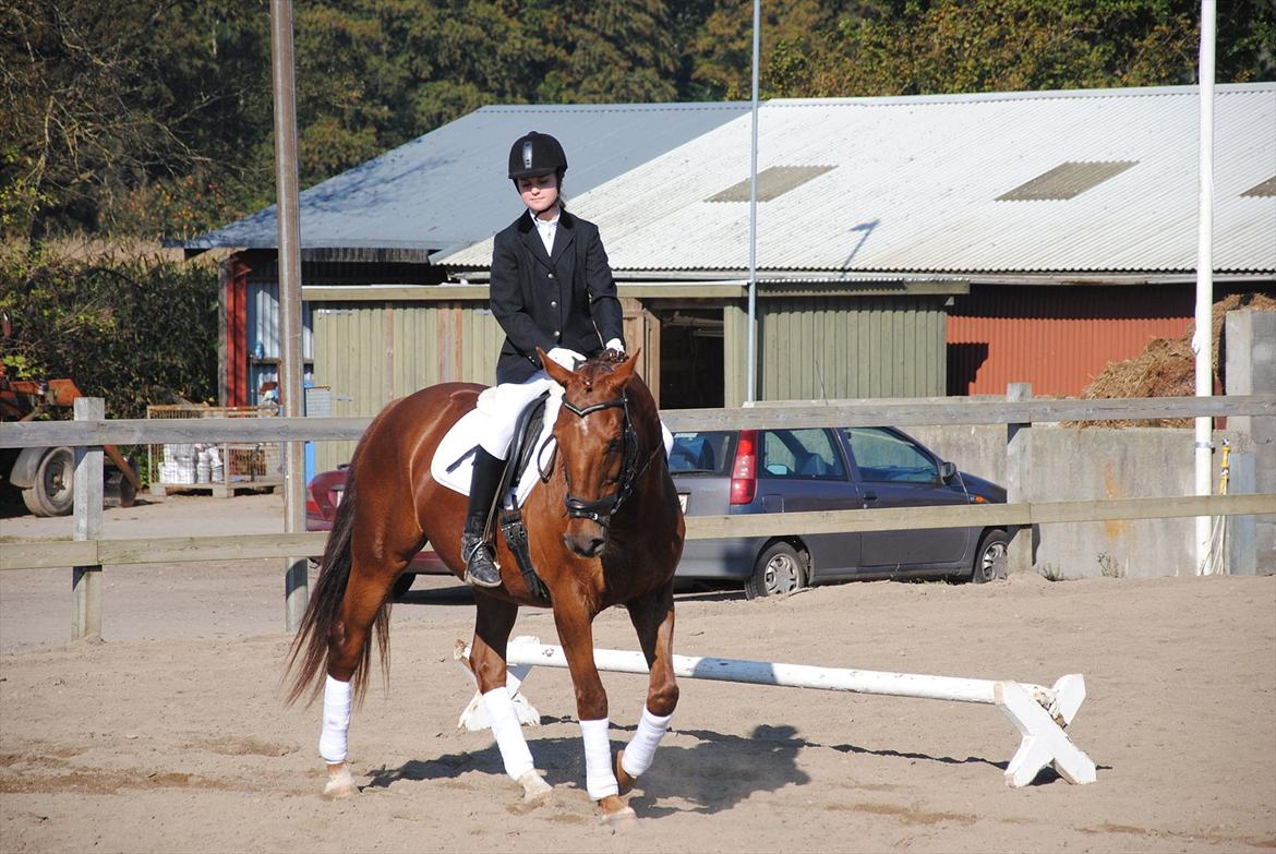 Anden særlig race Fabian  - Vores første stævne d. 1 oktober op af midterlinjen. Foto: Far billede 17