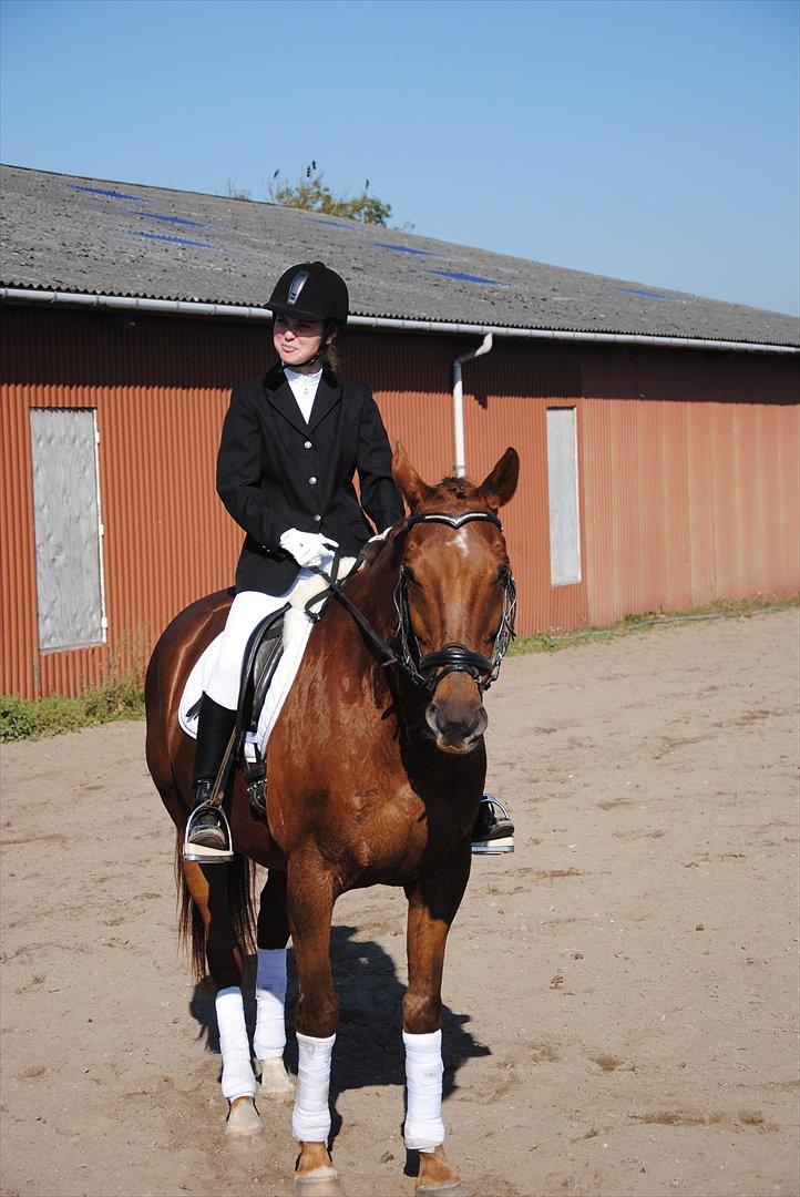 Anden særlig race Fabian  - Vores første stævne d. 1 oktober. Jeg ved ikke lige hvad jeg laver :) Foto: Far billede 18