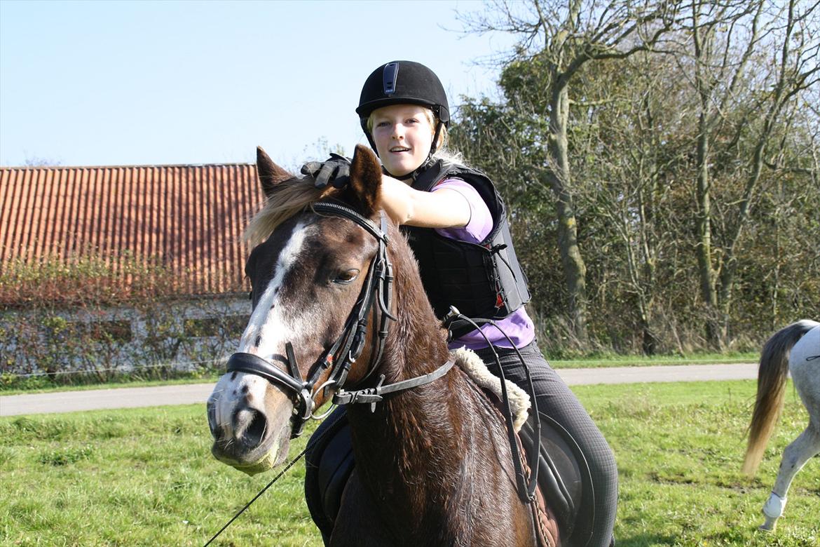 New Forest Sanchez | I miss you!<3 - Når hesten ikke vil have ørene frem må man jo gøre det selv! :D Foto: Kao billede 10