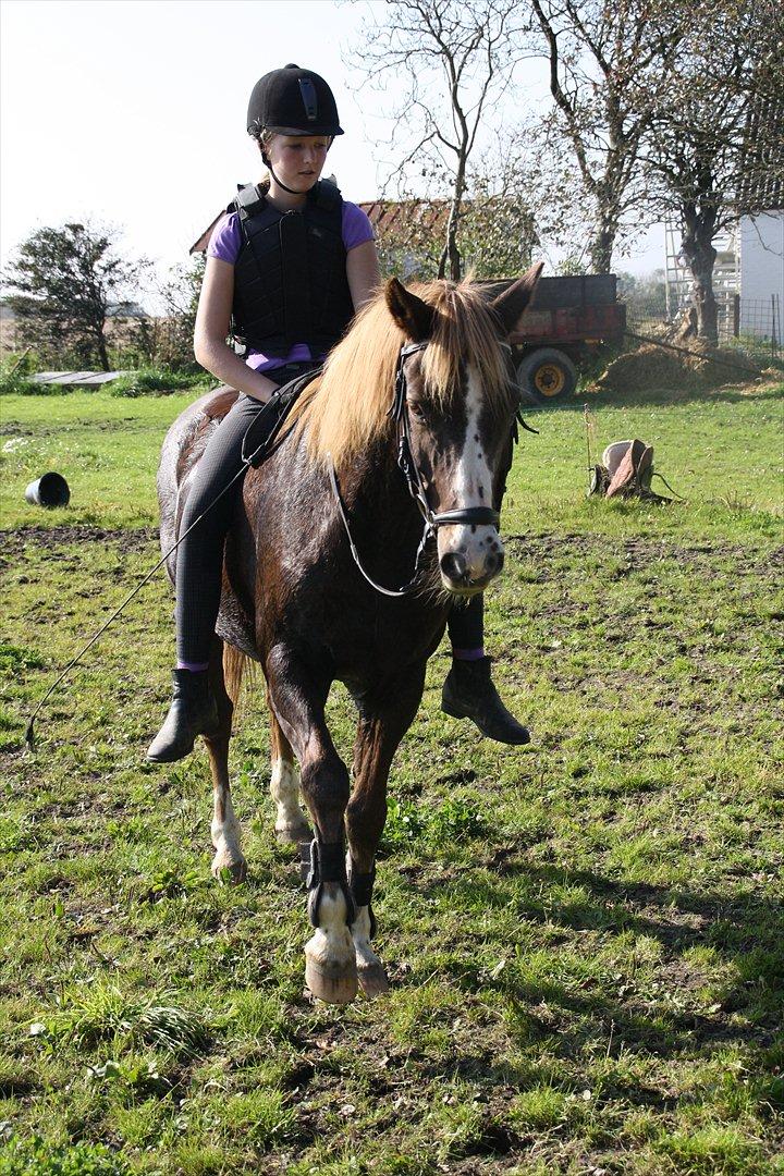 New Forest Sanchez | I miss you!<3 - Foto: Kao billede 6