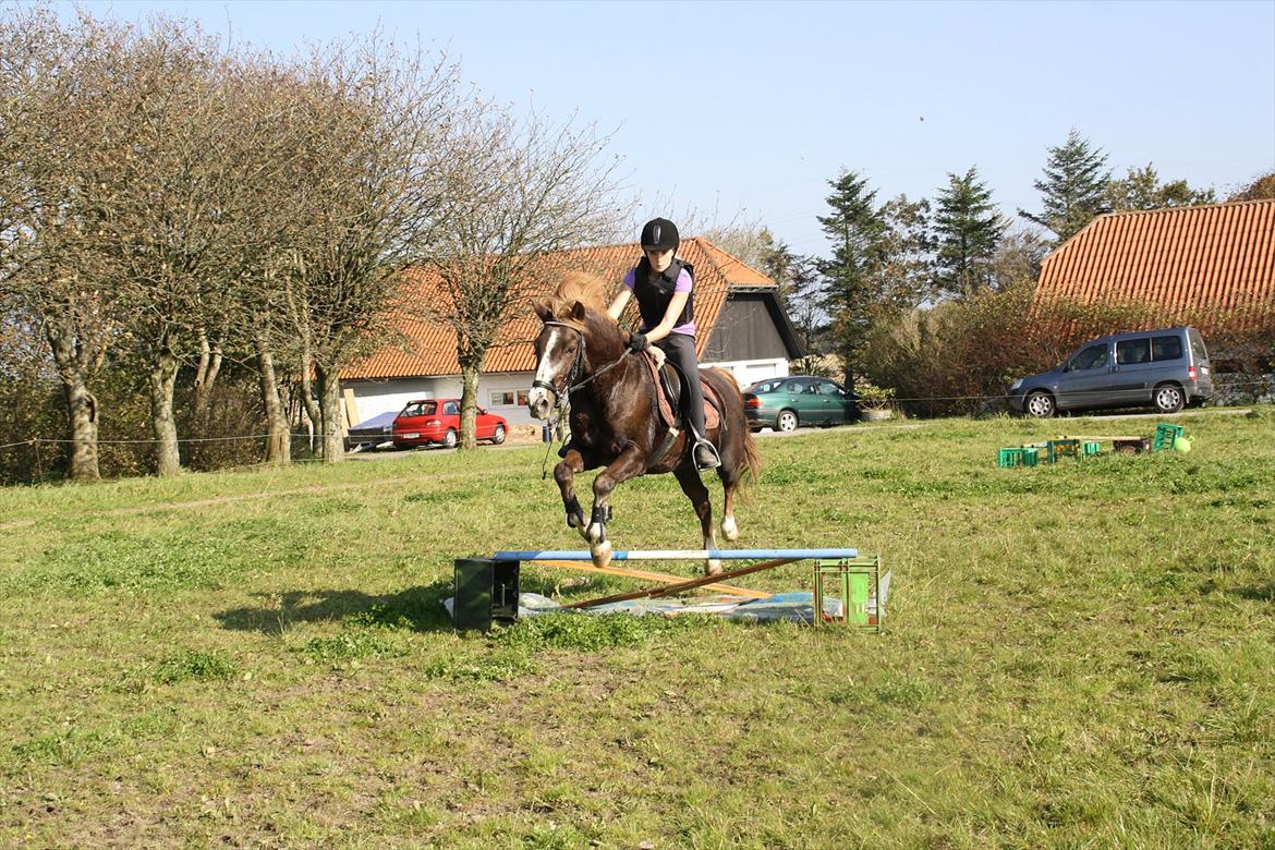 New Forest Sanchez | I miss you!<3 - Ved jeg sidder som.. Ja jeg ved ikke hvad, men var ikke klar på at han sprang.. Foto: Kao billede 14