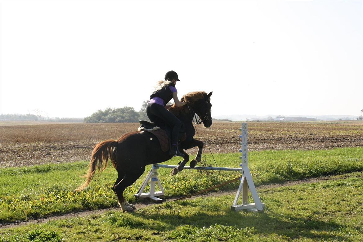 New Forest Sanchez | I miss you!<3 - Spring!<3 Foto: Kao billede 12