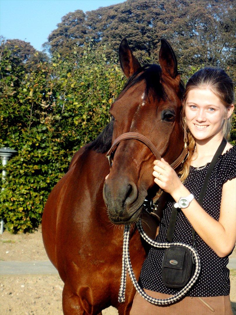 Tysk Sportspony Arking Jump.  - Bullerhesten. - "Hesten reagere øjeblikkeligt på ægte kærlighed. Du kan ikke lyve over for en hest og sige, at du kan elsker den, hvis du ikke gør det."


Foto: Helena Futtrup med mit kamera. billede 5