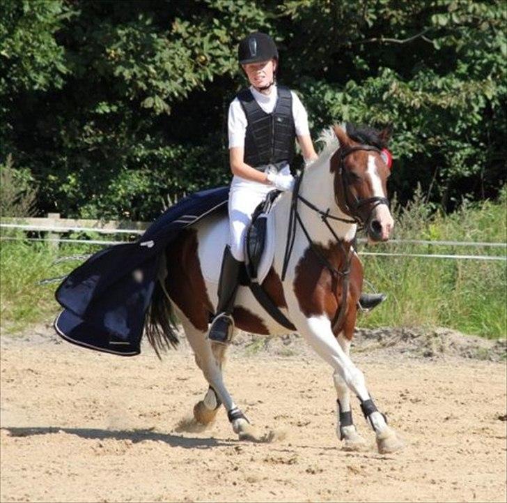 Pinto Kiara - Klubmester 2011, æresrunde :') billede 13