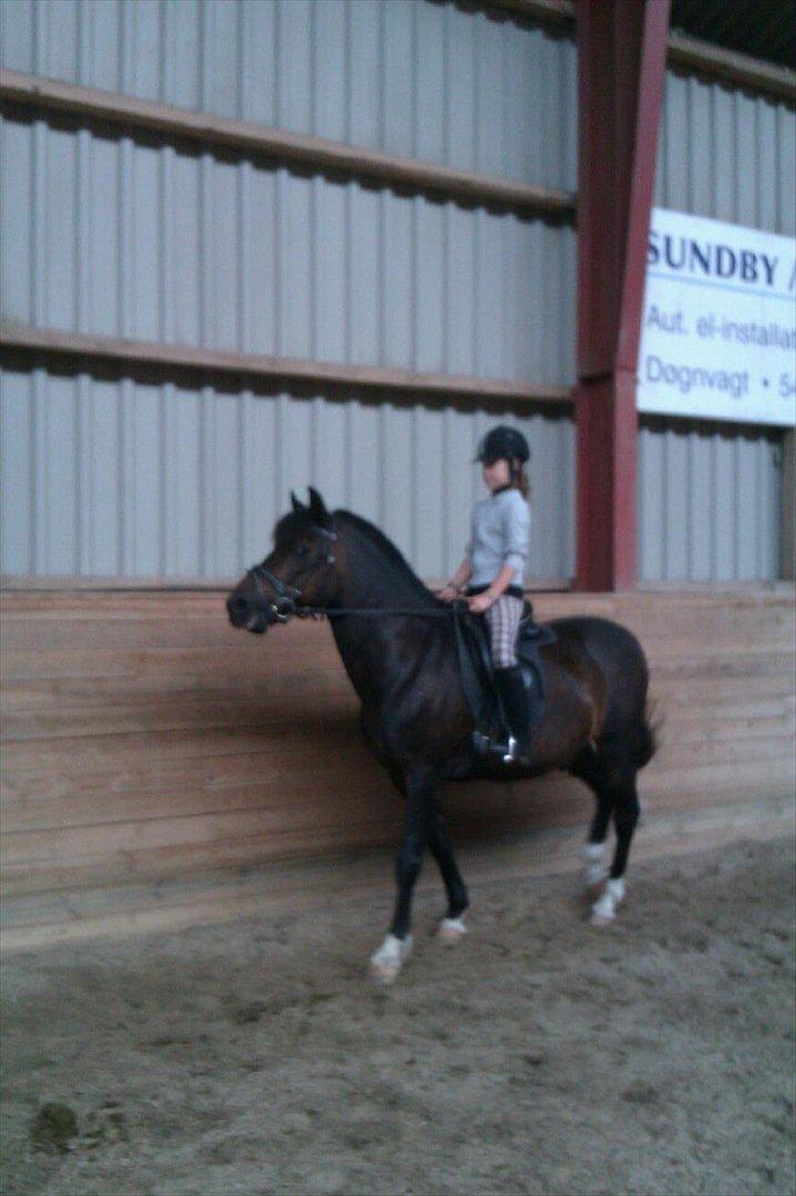 New Forest fonzie - love you billede 4