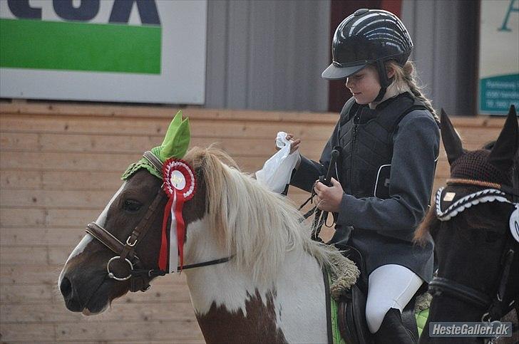 Anden særlig race Grøn Tuborg<3 - føste plads i LD billede 16