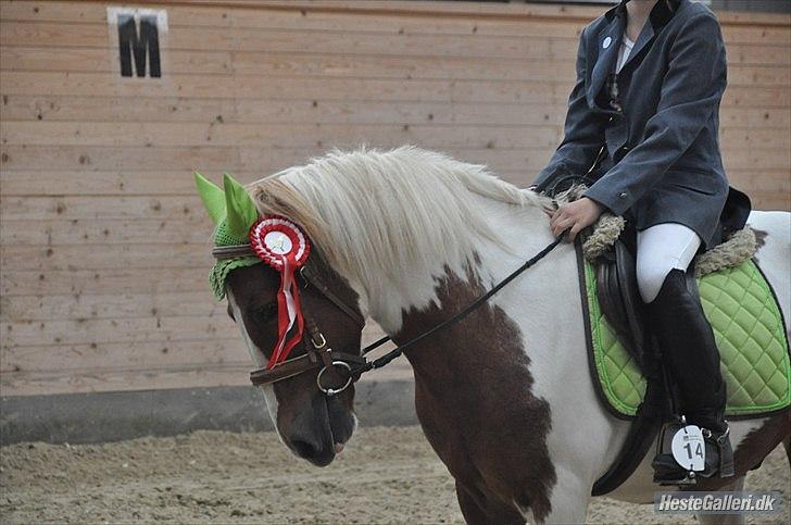 Anden særlig race Grøn Tuborg<3 - Føste plads IC billede 17