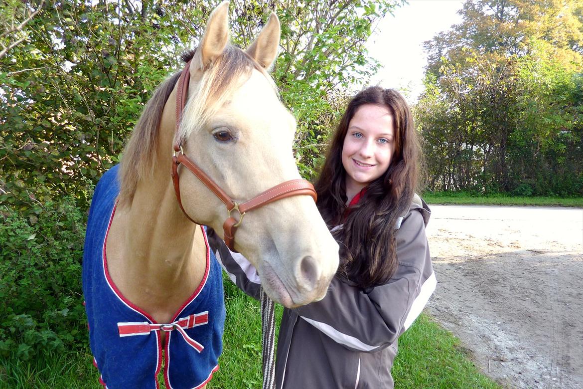 Anden særlig race Sioux billede 12