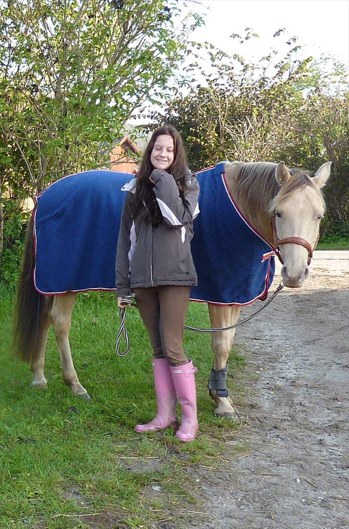 Anden særlig race Sioux billede 8