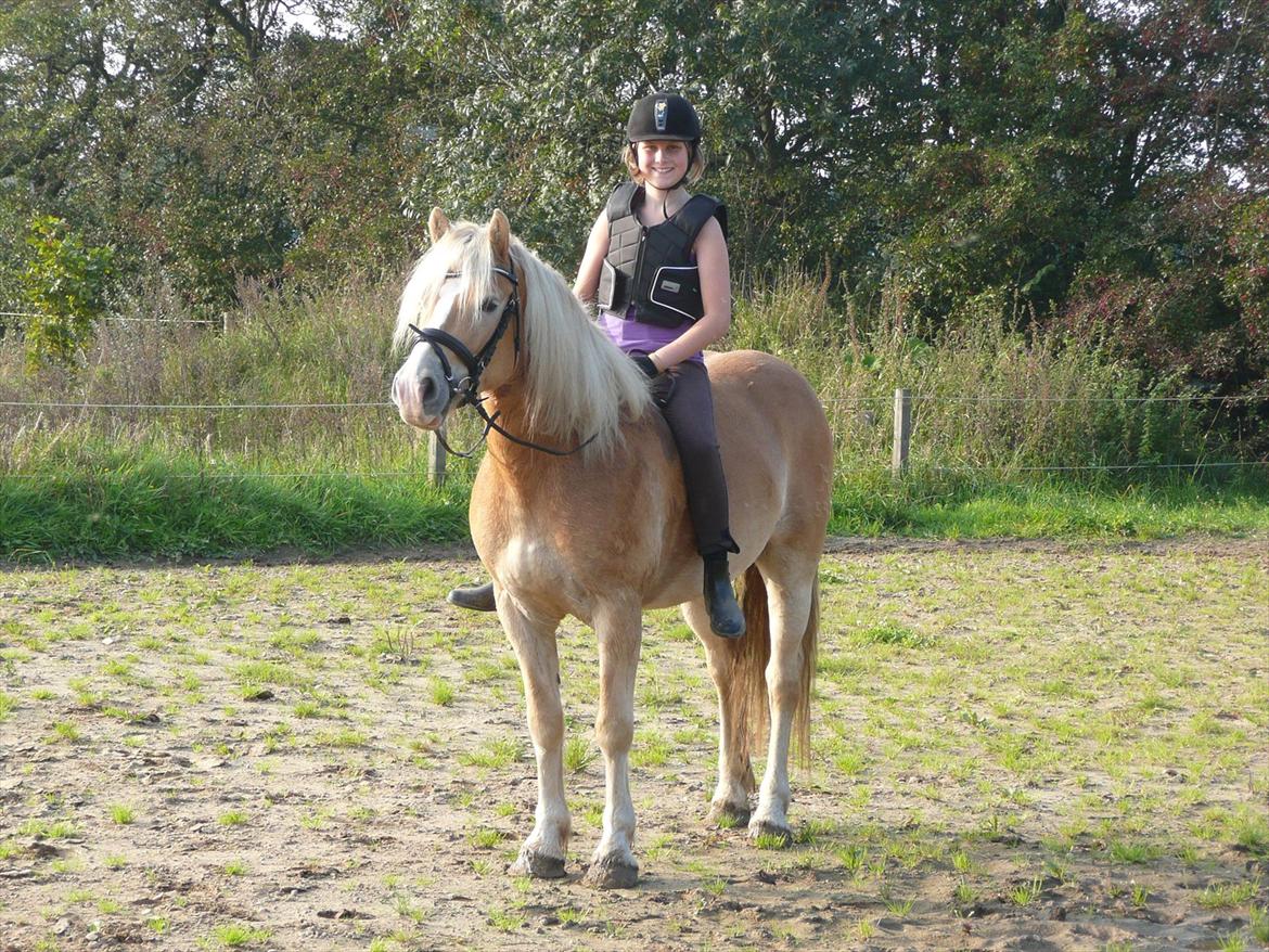 Haflinger Nemo Soldal - Første uden sadle ;) billede 8