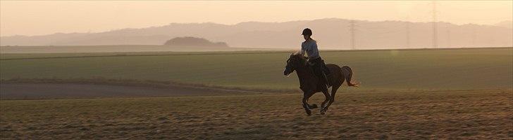 Anden særlig race Kira - 2x klubmester (solgt) - fræsser xD billede 20