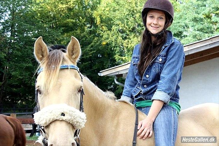 Anden særlig race Sioux billede 5