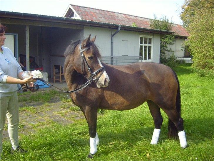 Anden særlig race Cassiopeia - Velkommen til Cassio's profil (: billede 1