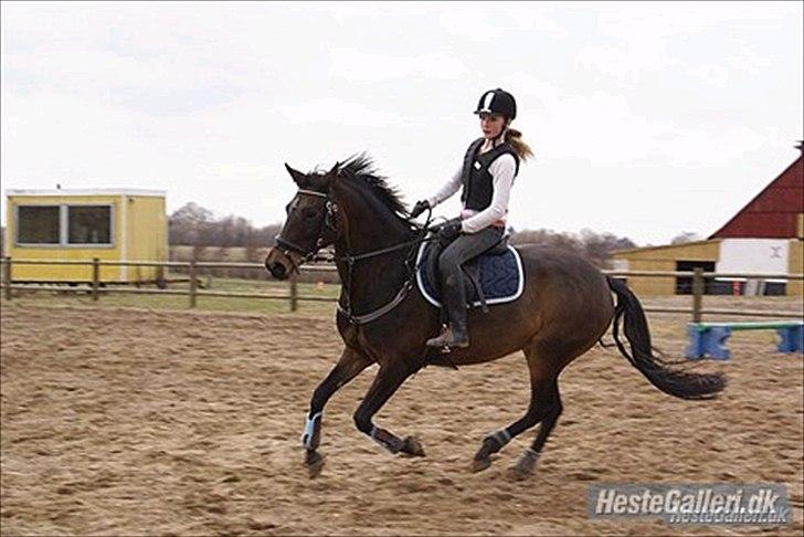 Anden særlig race Tequila alias La Amia billede 6