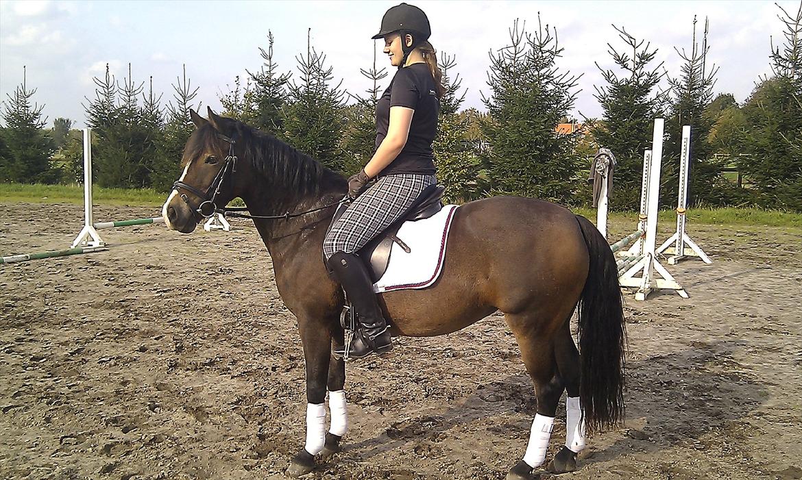 Anden særlig race Cassiopeia billede 6