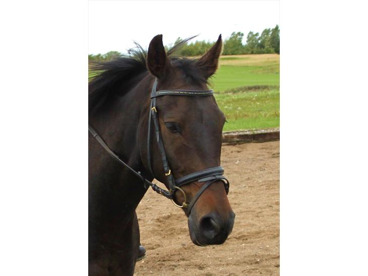 {{currentPhoto.altText}} billede {{currentPhoto.number}}