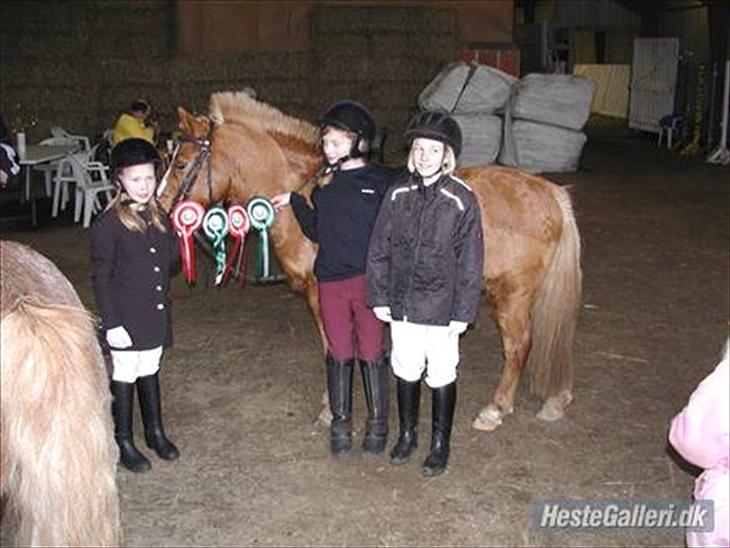 {{currentPhoto.altText}} billede {{currentPhoto.number}}