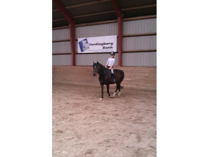 {{currentPhoto.altText}} billede {{currentPhoto.number}}