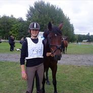 Anden særlig race Jolanda