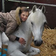 Anden særlig race Lucas A-PONY