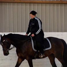 Anden særlig race Chili in action *Miss you boy*
