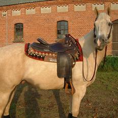 Quarter : RF Frank Olena | ~ Min Klumpe Dumpe ~