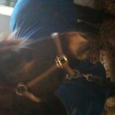 Anden særlig race Markant