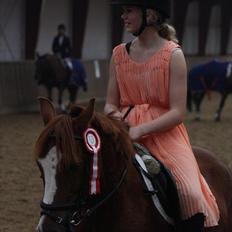 Anden særlig race Kasper (passer) 