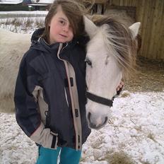 Anden særlig race Valentino ( Valle )