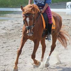 Traver Thao ( Keaton Bøghegård )