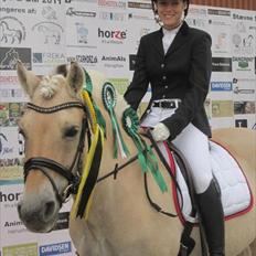 Fjordhest Laika Romeó(solgt)