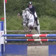 Holstener - Quidditch 13