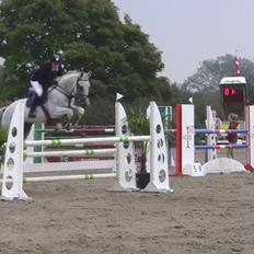 Holstener - Quidditch 13