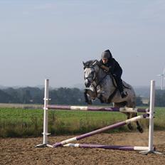 Anden særlig race Lukas